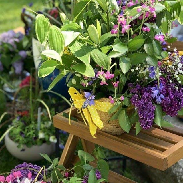 Westport Garden Club Annual Plant Sale on May 11