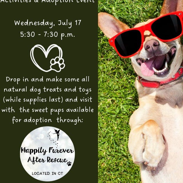 Dog Days of Summer Activities and Adoption Event at Brookfield Public Library 