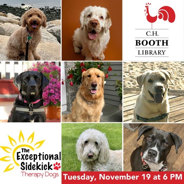 Visit with the Exceptional Sidekick Therapy Dogs at C.H. Booth Library