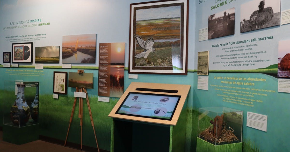 Maritime Aquarium Explores Long Island Sound's Salt Marshes in New Exhibit