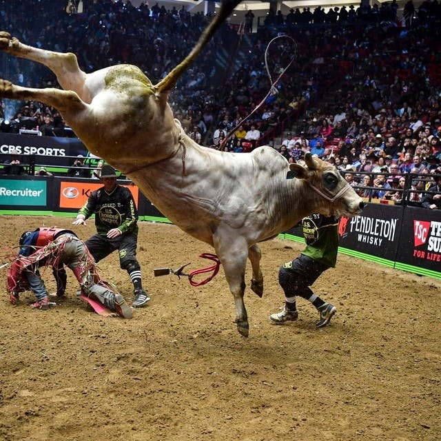 Professional Bull Riding Debuts in Bridgeport March 1-2